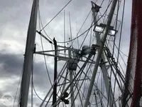 Trallers pārdod