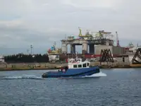 Vilcējs pārdod
