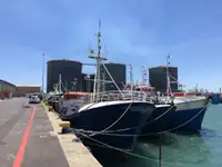 Longliner pārdošanā