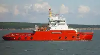 Velkonis pārdošanā