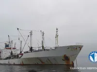 Reefer kuģis pārdod