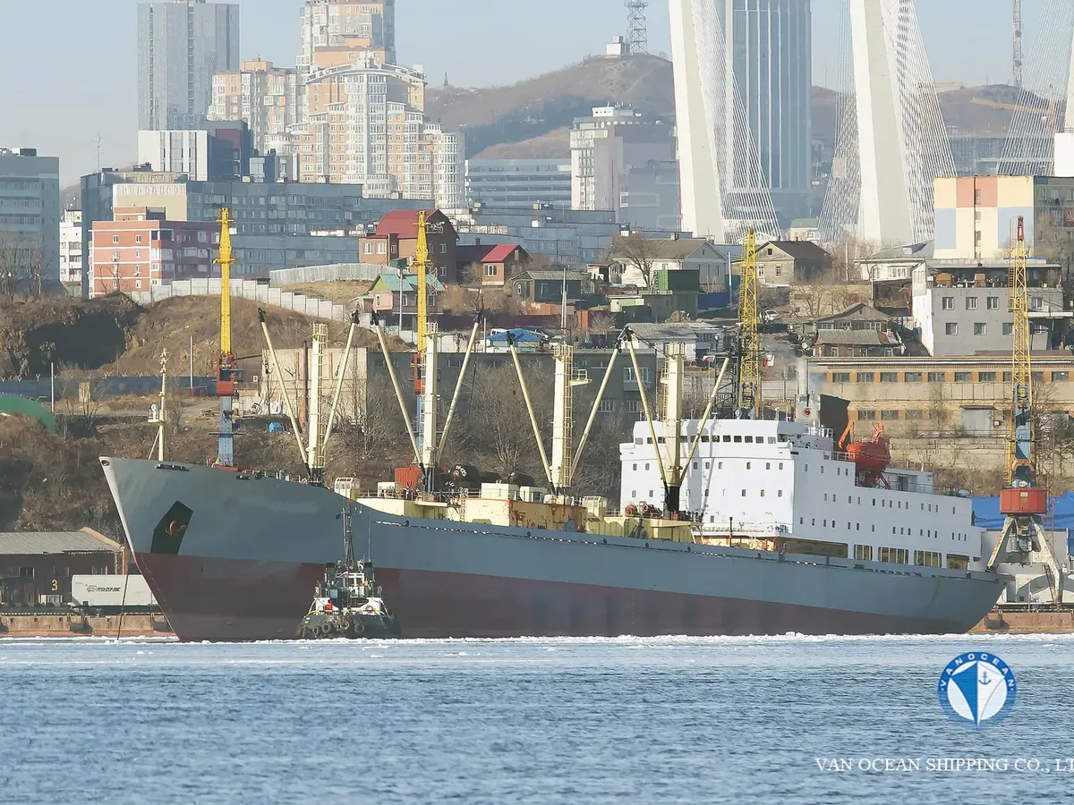 Reefer kuģis pārdod