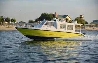 Kruīza kuģis pārdod