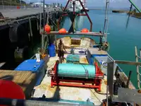 Trawler pārdošanā
