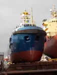 Reefer kuģis pārdod