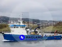 Niršanas atbalsts pārdošanā
