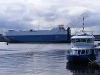 Beramkravu pārvadātājs pārdod