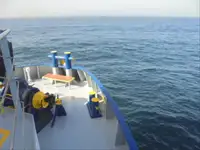 Reefer kuģis pārdod