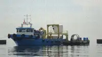 Velkonis pārdošanā