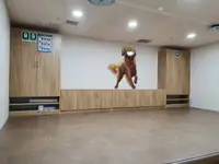 Reefer kuģis pārdod