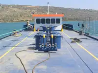 Liellaiva pārdošanā