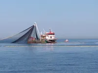 Zivju zvejas kuģis pārdod