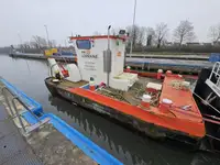 Velkonis pārdošanā