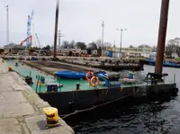 Liellaiva pārdošanā