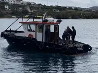 Velkonis pārdošanā