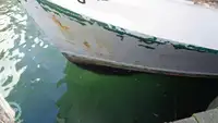 Trallers pārdod