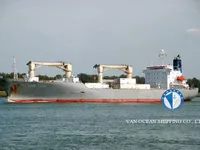 Reefer kuģis pārdod