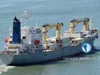 Reefer kuģis pārdod
