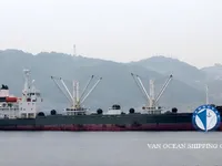 Reefer kuģis pārdod