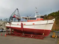 Trallers pārdod