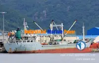 Reefer kuģis pārdod
