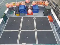 Garā līnija zvejas kuģis pārdod