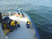 Reefer kuģis pārdod