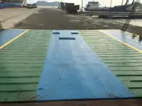 Beramkravu pārvadātājs pārdod