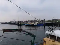 Trallers pārdod