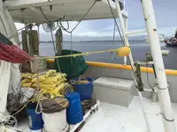 Trallers pārdod