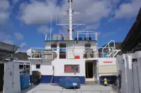 Katamarāns pārdod