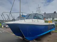 Trallers pārdod