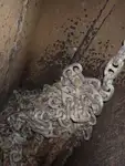 Beramkravu pārvadātājs pārdod