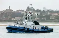 Velkonis pārdošanā
