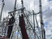 Trallers pārdod