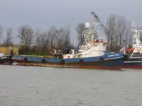 Velkonis pārdošanā