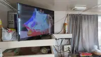 Trallers pārdod