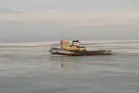 Velkonis pārdošanā