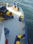 Reefer kuģis pārdod