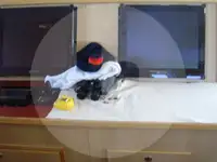 Trallers pārdod