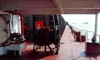 Bārža pārdod