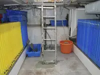 Trallers pārdod