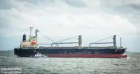 Beramkravu pārvadātājs pārdod