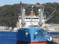 Reefer kuģis pārdod