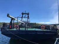Reefer kuģis pārdod