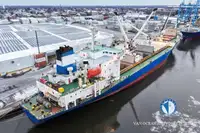 Reefer kuģis pārdod