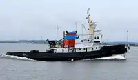 Velkonis pārdošanā