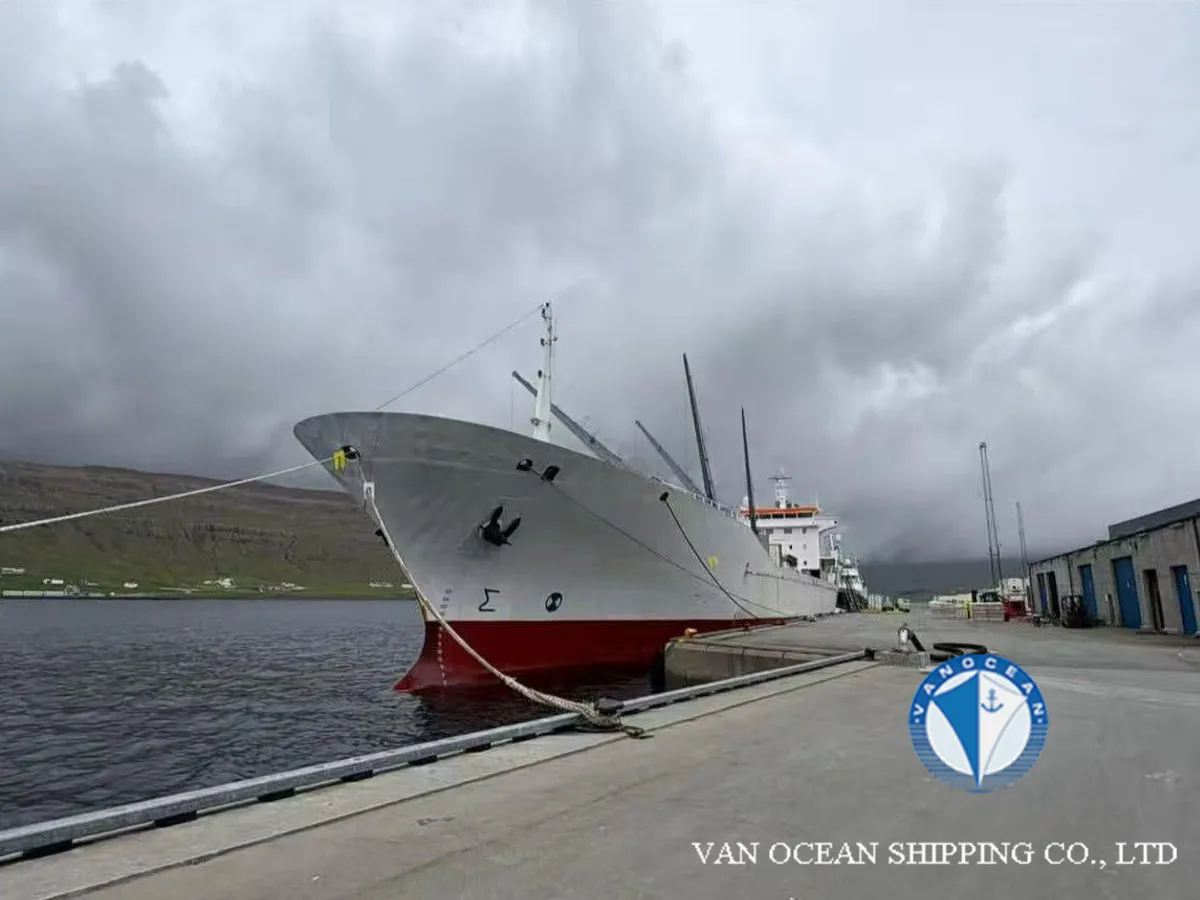 Reefer kuģis pārdod