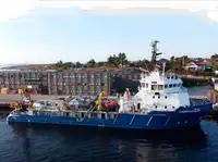 Velkonis pārdošanā