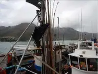 Trallers pārdod